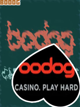 Online poker bodog
